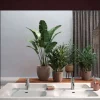 Specchio retroilluminato da parete bagno rettangolare 80x60cm vetro Piola