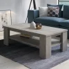 Tavolino da salotto 110x55cm 1 ripiano moderno rovere grigio Islen